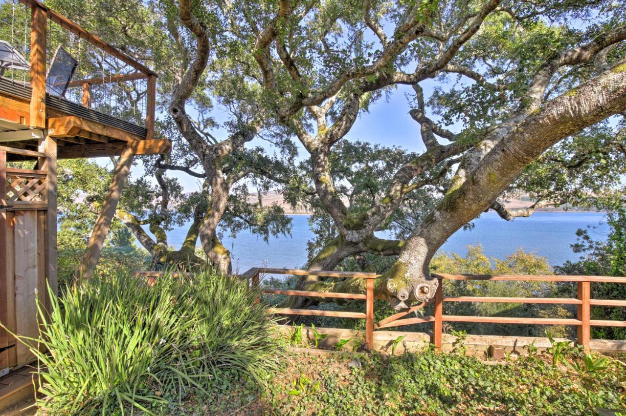 Hillside Home With Deck And Views Of Tomales Bay! Inverness Exterior photo