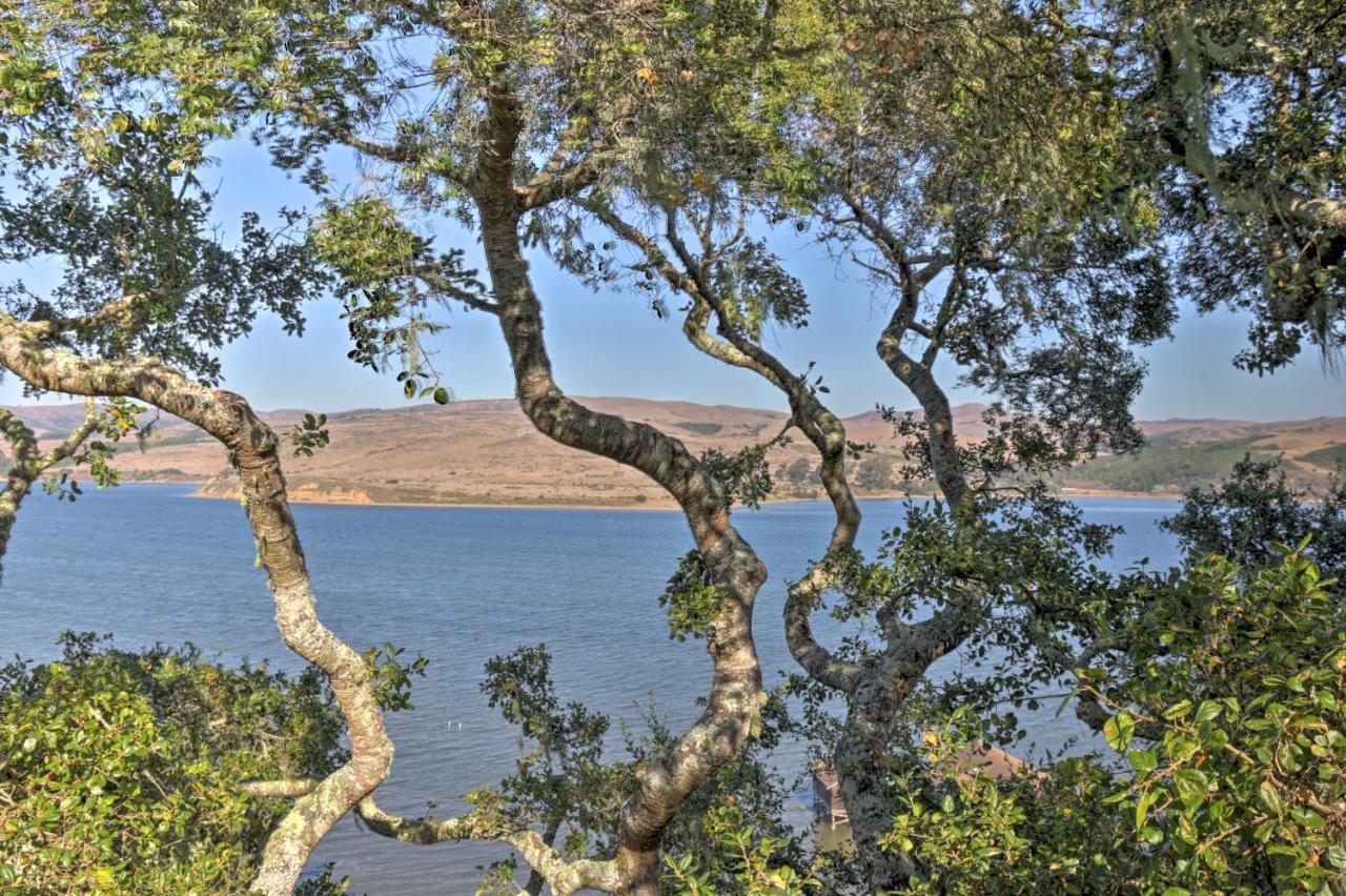 Hillside Home With Deck And Views Of Tomales Bay! Inverness Exterior photo